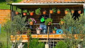 “ Onların kurumasına gönlüm razı gelmedi”