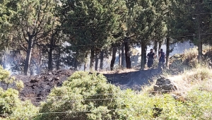 Spil Dağı eteklerindeki orman yangını kontrol altına alındı