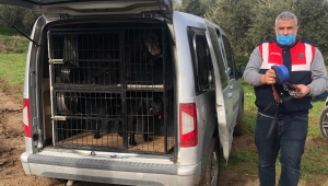 Özel ekip oluşturuldu