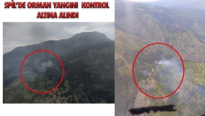 Spil dağındaki orman yangını kontrol altına alındı