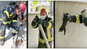 Boruda mahsur kalan kediyi itfaiye kurtardı