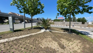 Büyükşehir’in Ürettiği Çiçekler Manisa’yı Süslüyor