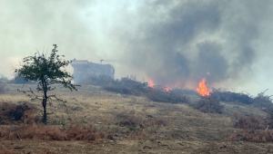 Çampınar’da makilik alandaki yangın söndürüldü