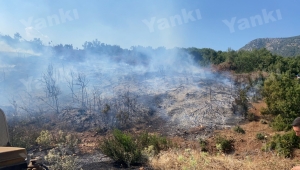 Çampınar’da ormanlık alanda yangın!