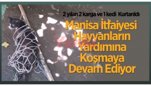Manisa İtfaiyesi Hayvanların Yardımına Koşmaya Devam Ediyor