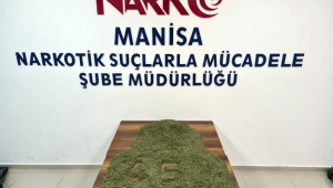 Narkotik köpeği 'Kiraz' otomobilde 12 kilo bonzai yakaladı