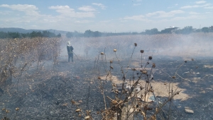 Ot yangını itfaiye söndürdü