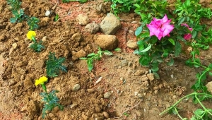 Büyükşehirden Mezarlıklara Bayram Öncesi Bakım