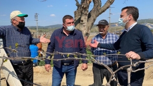 CHP'li Başevirgen: 'Çiftçiler endişeli, haciz yine kapıda' 