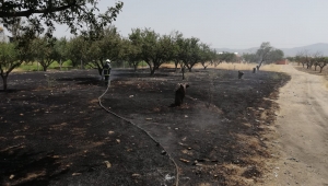 İtfaiye 6 Aylık Verileri Paylaştı, Anız ve Ot Yangınına Karşı Uyardı