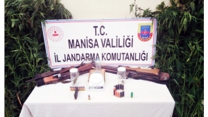 Kiraladıkları arazideki bağda 195 kök kenevir yetiştiren 3 şahıs yakalandı!