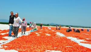 Kurutulmuş domatesler Manisa'dan