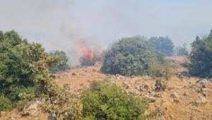 Manisa Yunt Dağındaki makilik yangını rüzgar engeline takıldı 