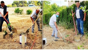 Okul bahçesini meyve bahçesine dönüştürdüler