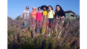 Samancı Lavanta Bahçesi ziyaretçilerini ağırlıyor