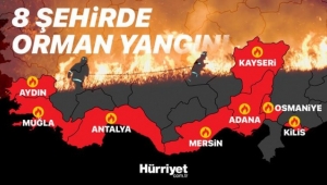 Türkiye'nin alevlerle mücadelesi... 8 ilde 16 ilçede orman yangını!