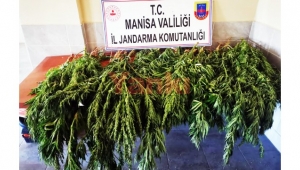 Uyuşturucu maddeleriyle yakalanan şahıs tutuklandı!   