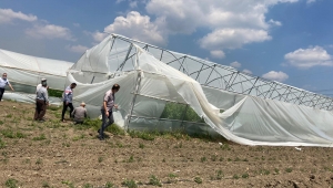 Fırtınada Zarar Gören Seralar Bakıma Alındı