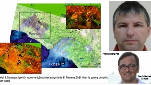 Manavgat yangınının neden olduğu ormanlık alan kaybı uydu görüntüleri ile tespit edildi