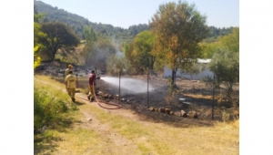 Meyvelik alanda çıkan yangın ormana sıçramadan söndürüldü