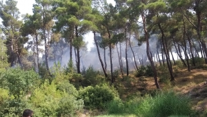 Orman yangını kontrol altına alındı