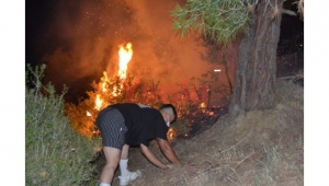 Salihli'de korkutan orman yangını; 10 dönüm alan zarar gördü