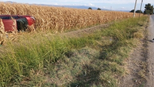  OTOMOBİL MISIR TARLASINA DEVRİLDİ 2 YARALI