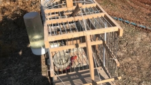 Ağla kuş avlayan 4 kişi yakalandı