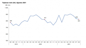 Ağustos ayında 823 bin 463 ton inek sütü toplandı