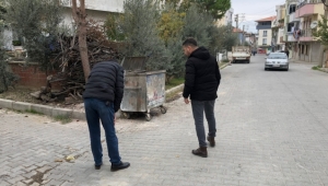 Kedi katilini yakalamak için özel ekip oluşturuldu