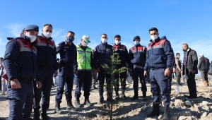 Kula'da Fidanlar Toprakla Buluştu