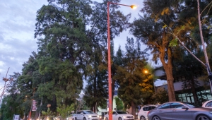 Farkındalık yaratmak için sokaklarını turuncu aydınlattı. 