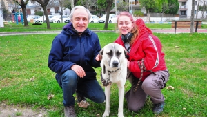 Şans'ı İngiltere'ye götürecek