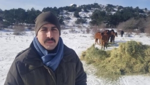 Karla kaplanan Spil'de yaban hayatı unutulmadı