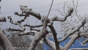 Karaköy Mahallesinde Kartpostallık Görüntüler