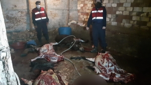 Eşek ve at kesen 5 şüpheli suçüstü 