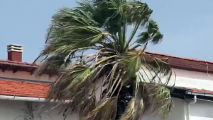 Çeşme'de lodos hayatı olumsuz etkiledi