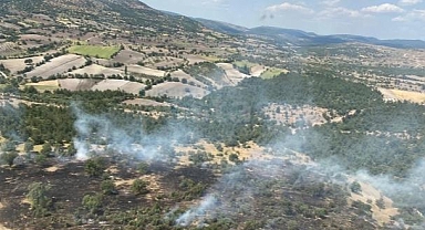 Manisa'da orman yangını söndürüldü