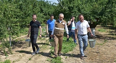 Öztürk, Turgutlu'da dumanlı papaz eriği hasadına katıldı