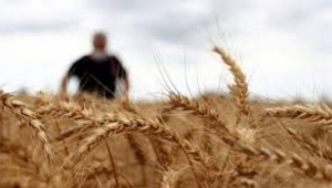 Tarımsal girdi fiyatlarındaki yıllık artış yüzde 105,70 oldu.