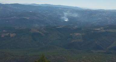 Manisa'nın Akhisar ilçesinde orman yangını