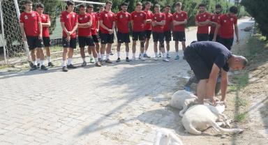 Turgutluspor yeni sezon hazırlıklarına başladı 