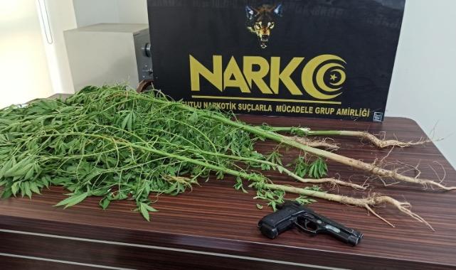 5 kök hint keneviri ve ruhsatsız tabanca ele geçirildi
