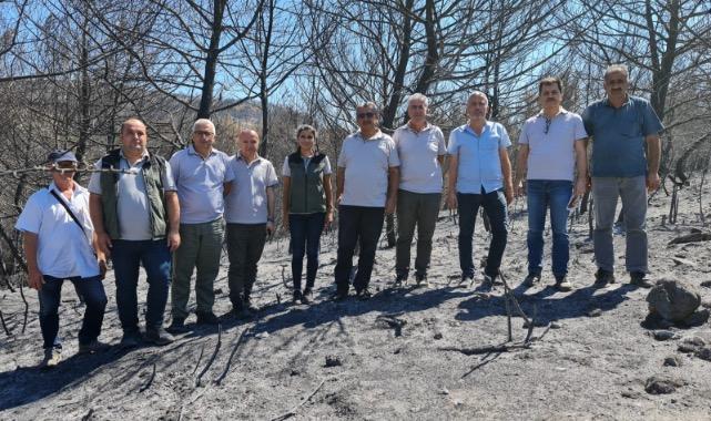 Kollar sıvandı