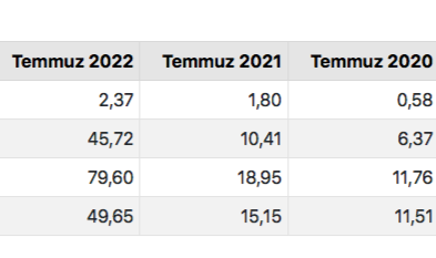TÜİK açıkladı: Yıllık enflasyon yüzde 79,60'a dayandı