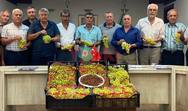 Başkan Şenol: Üzüm alımı noktaları arttırılmalı