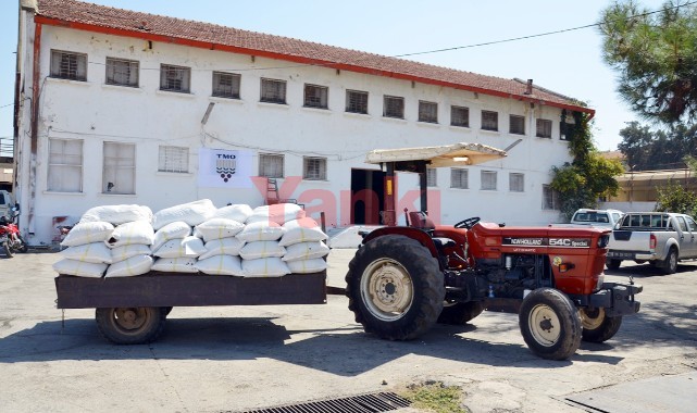 TMO kuru üzüm alımlarına başlıyor! Turgutluda 12 Eylülde başlayacak