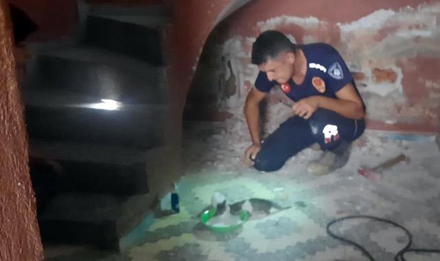 Gider borusuna sıkışan yavru kediler kurtarıldı