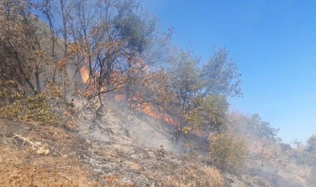 Ormanlık ve makilik alanda çıkan yangın kontrol altına alındı