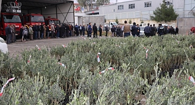 14 Bin 100 Adet Zeytin Fidanı Üreticiyle Buluştu